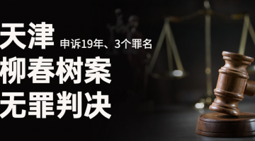 柳春树案